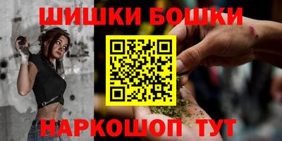 тгк Камышлов