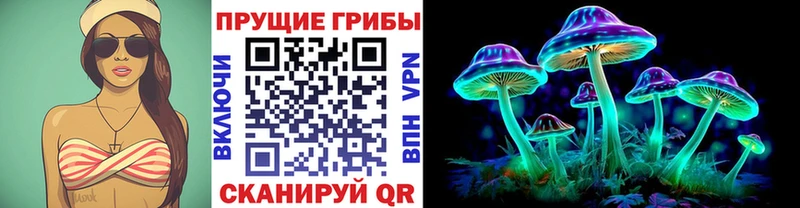 Галлюциногенные грибы Psilocybine cubensis  Нижнеудинск 