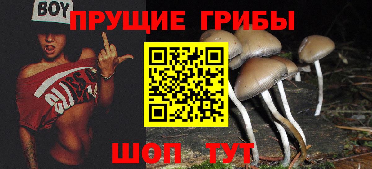 Галлюциногенные грибы ЛСД  где купить   Нижнеудинск  Псилоцибиновые грибы Cubensis  Вход с VPN 