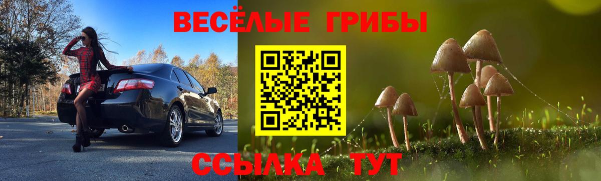 Галлюциногенные грибы мицелий  Нижнеудинск 